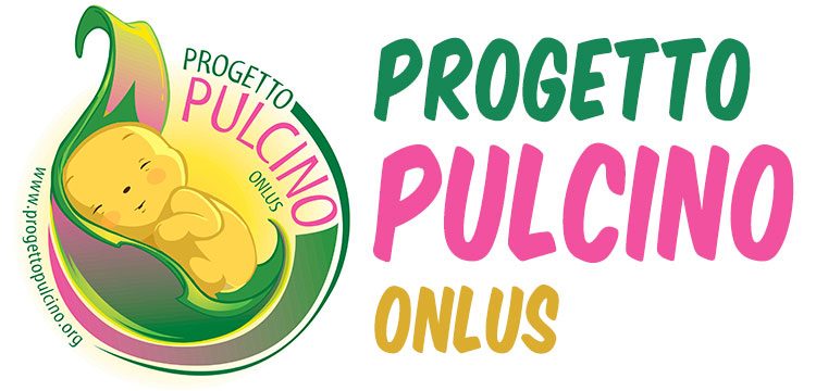 Progetto Pulcino